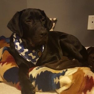 Meet your Posher, Kaitlyn